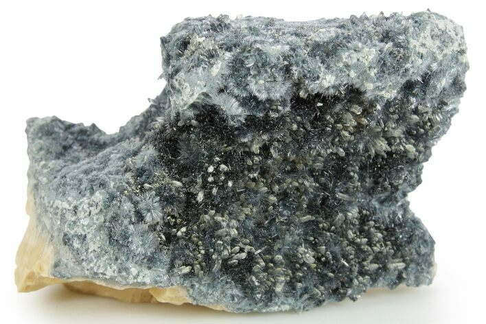 Blueish-Grey Foitite and Quartz on Orthoclase Feldspar - Namibia #363767